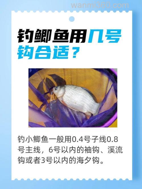 钓鲫鱼一般用几号线几号鱼钩