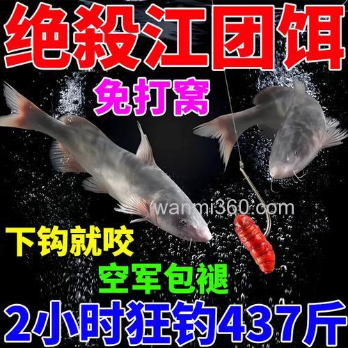江鲶用什么饵料?