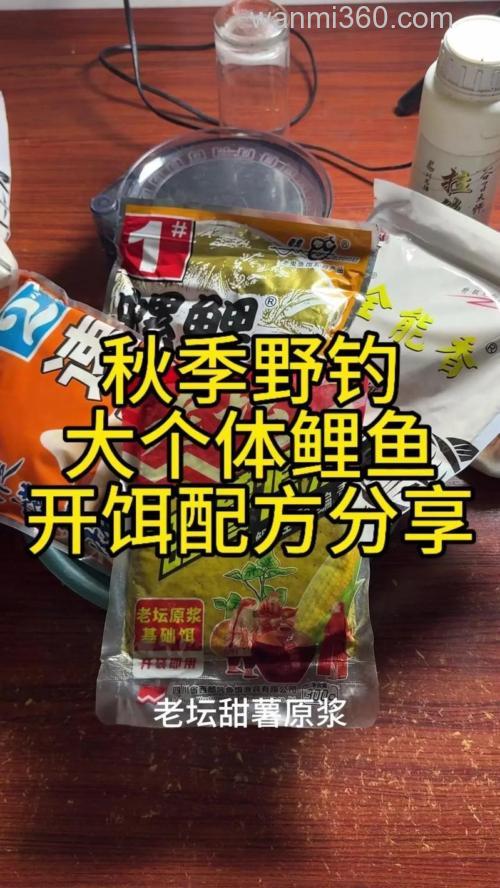 钓裸鲤饵料怎么塔配