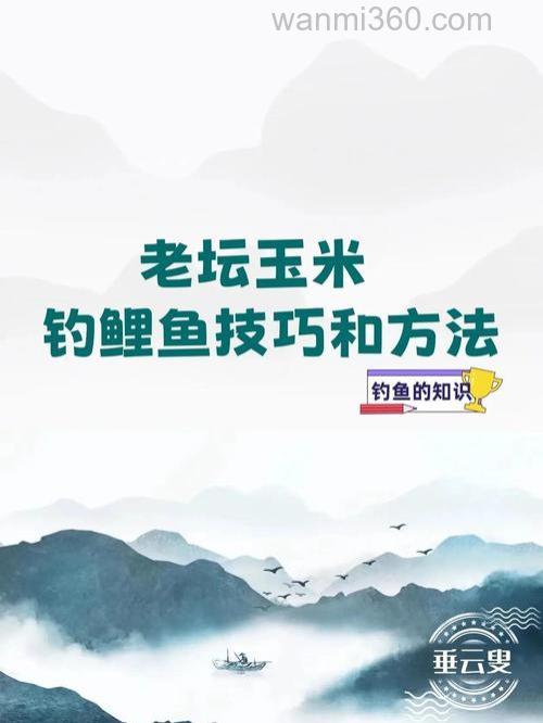 玉米面能钓鲤鱼吗 用玉米面饵料钓鱼需注意些什么