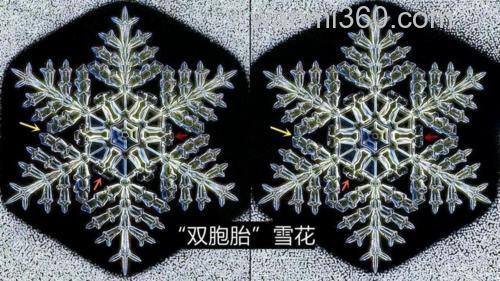 为什么雪花片片不相同?