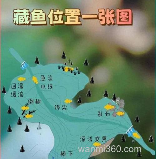 夏季水库钓青鱼的饵料和钓位选择