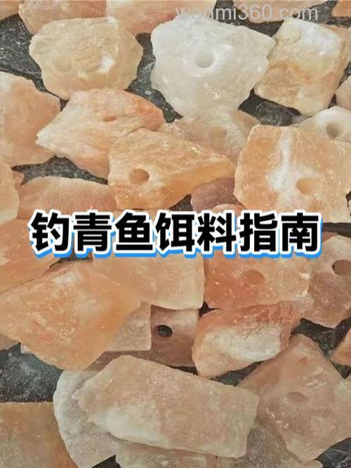 水库钓青鱼的钓位饵料和实战技巧(上)