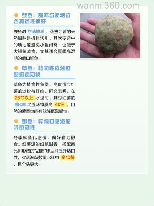 冬天红薯钓鱼效果好吗?