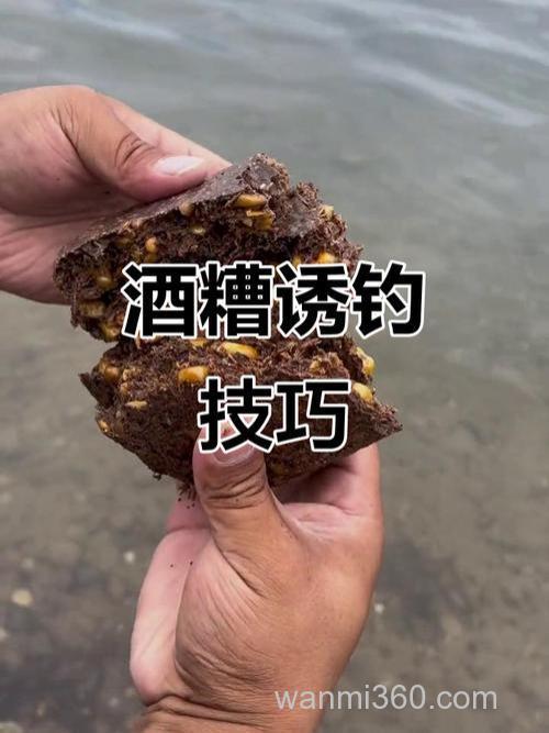 酒渣钓鱼效果怎么样?