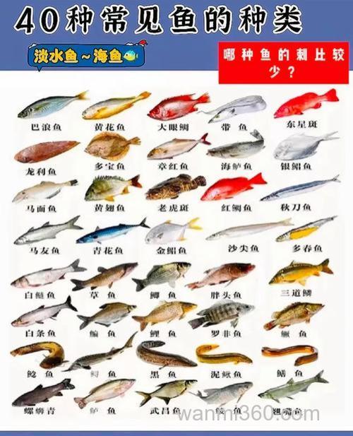 鱼都爱吃什么