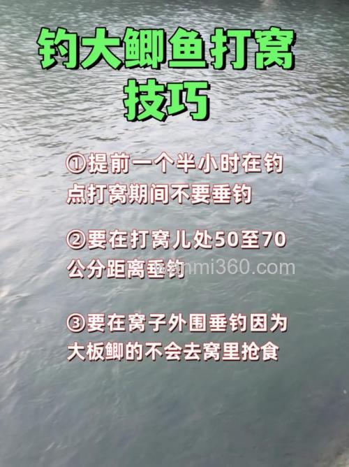 传统冬钓鲫鱼怎样打窝