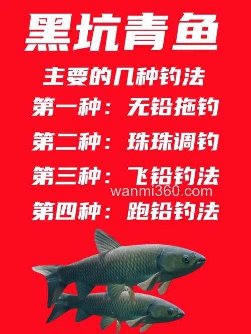 野钓青鱼用饵与钓法分享