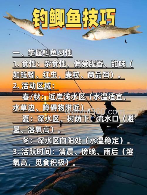钓鲫鱼比赛注意什么?