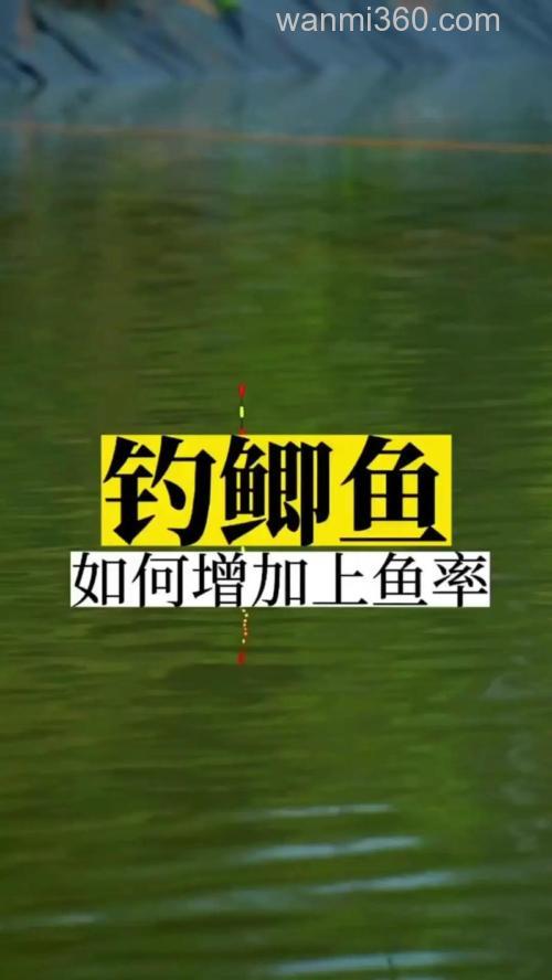 竞技台钓钓鲫鱼如何提高速度增加中鱼率