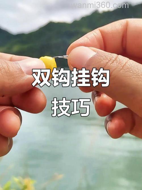 玉米粒可以钓什么鱼?玉米粒钓鱼方法