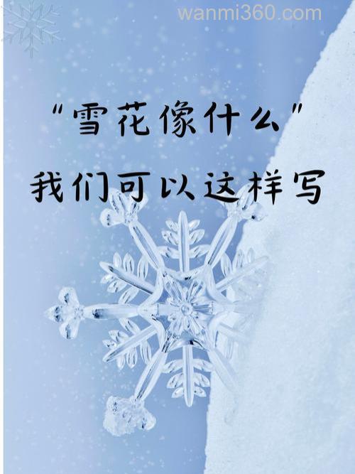 一片片雪花漂落下像什么的