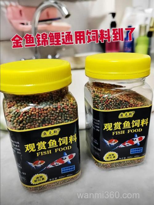 养殖鲤鱼用什么饲料?