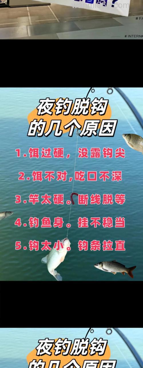 垂钓鲫鱼时鲫鱼脱钩的原因及对策(二)