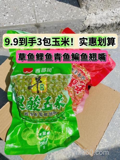 发酵玉米适合钓什么鱼