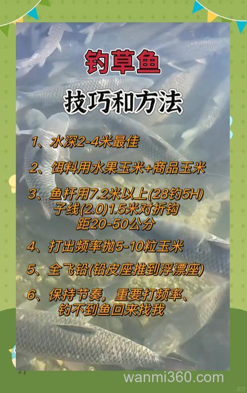 草鱼钓底的正确方法?