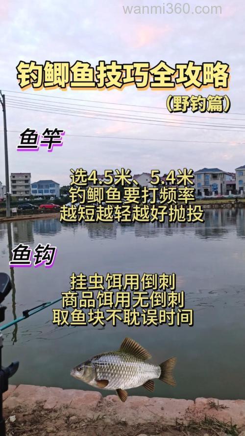 筏竿串钩冬钓野鲫钓具的选择与使用