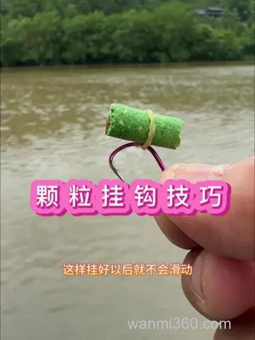 在赣江用矶杆串钩挂颗粒饵料怎样钓草鱼/？