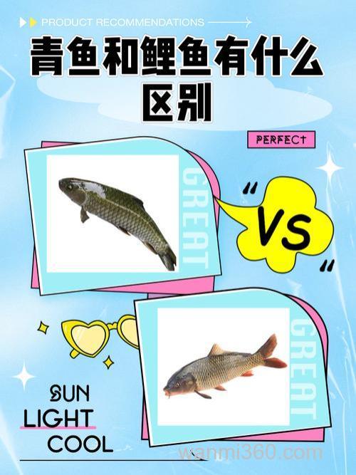 鲤鱼果酸和青鱼果酸有什么区别？