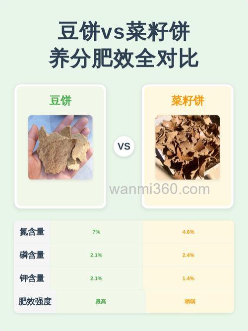 豆饼肥和菜籽饼肥有什么区别?