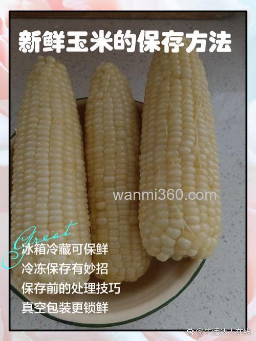 鲜玉米怎么保持=做什么窝料