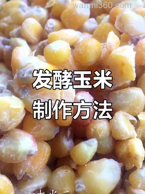 用什么发酵玉米做窝料