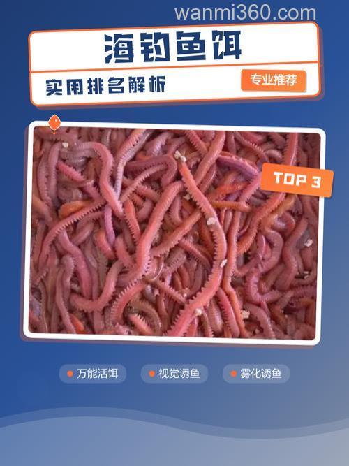 海钓饵料排名？