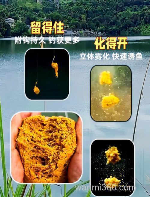 老鬼拉个球开饵方法