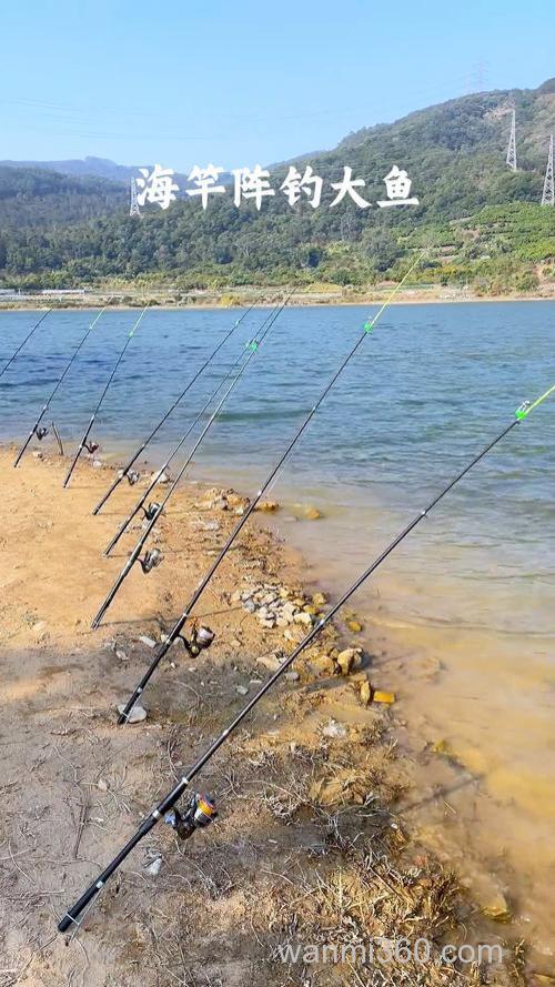 早春水库湖泊钓鲫鱼适宜用短海竿