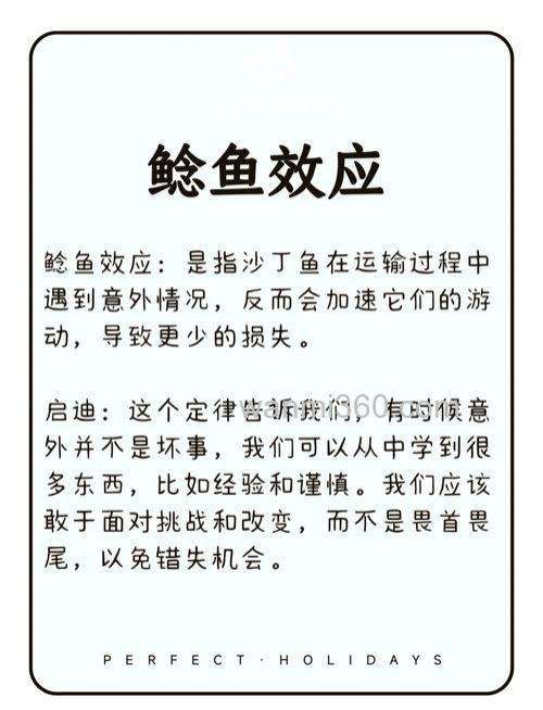 鲶鱼的故事?