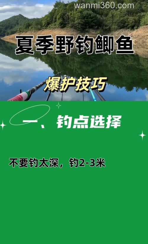 夏季夜钓鲫鱼的技巧