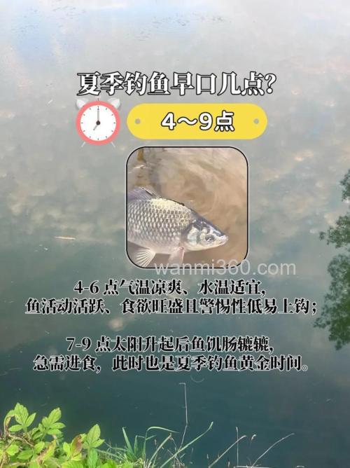 夏季野钓鲫鱼用香腥还是腥香?