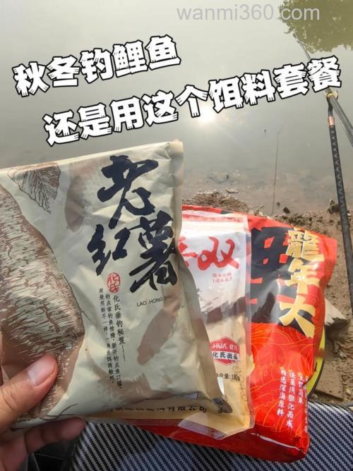 红薯问的饵料和什么搭配好钓鲤鱼？