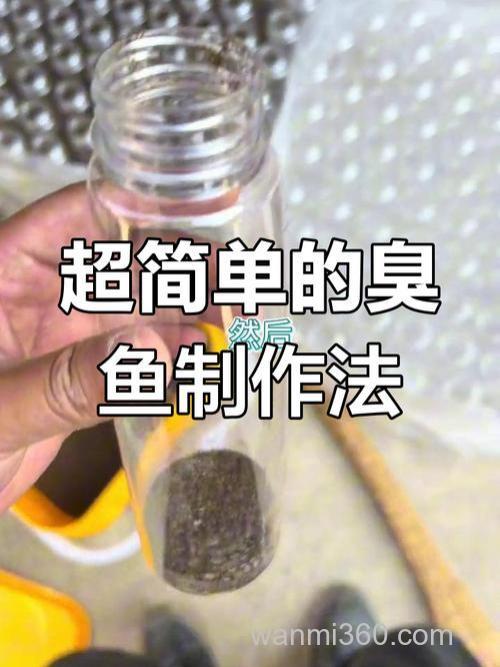 怎样做钓鱼食