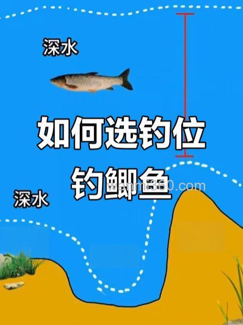 钓鲫鱼垂钓地点的选择