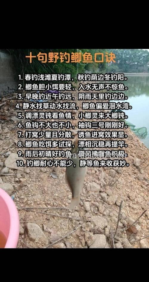 请问立春前后在野外钓鲫鱼有哪些技术要点