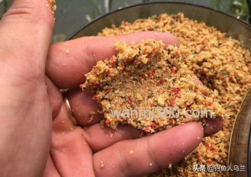 黑坑用酒糟打窝怎么样?