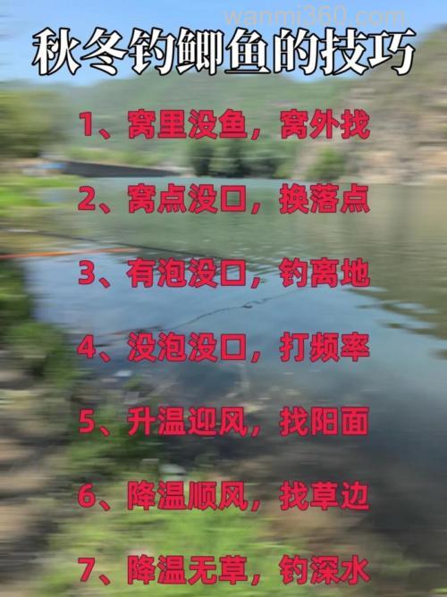 初秋仲秋晚秋野钓鲫鱼技巧分析