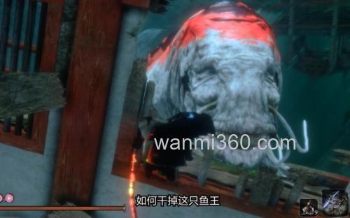 《只狼》支线攻略:源之宫·鲤鱼王介绍_《只狼》支线攻略:源之宫·鲤鱼王是什么