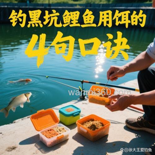 夏季钓黑坑鲤鱼,腥饵和素饵哪个好