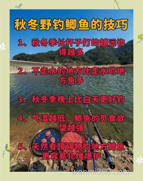 新疆野塘秋季钓鲫鱼技巧