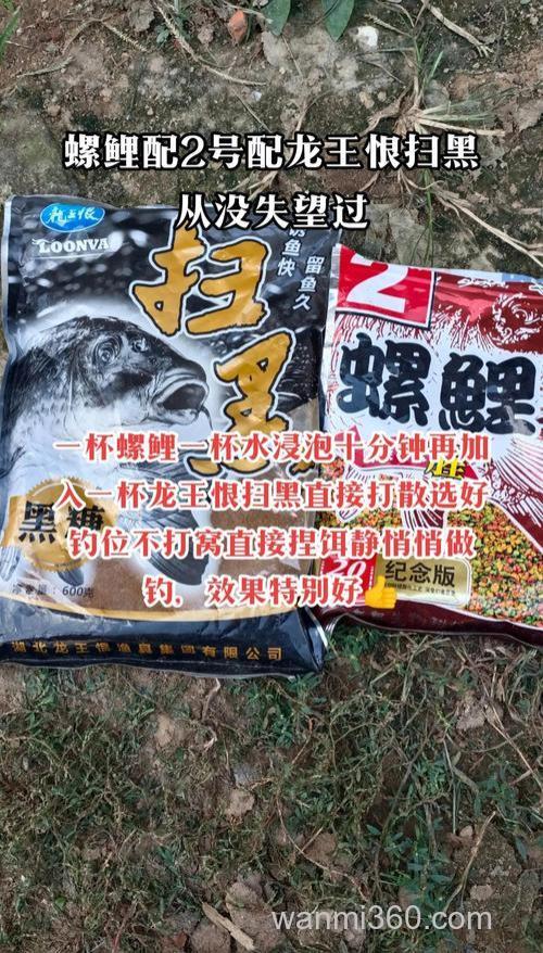夏天钓鲤鱼什么饵最好
