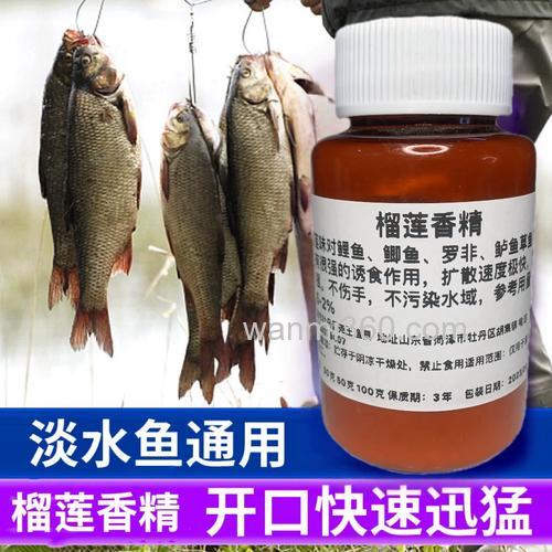 穿透力强的钓鱼小药