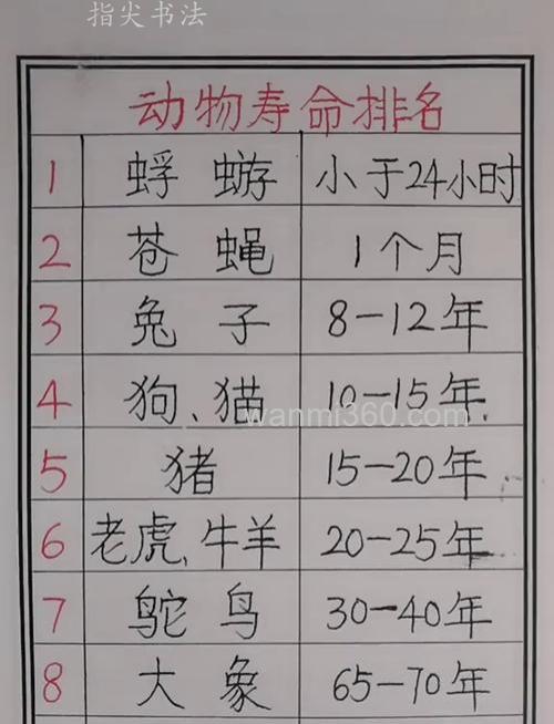 什么动物会活得久?
