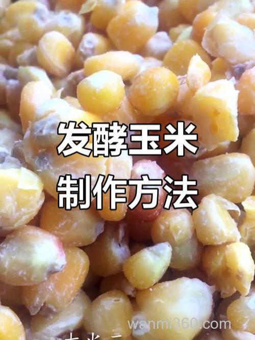 新鲜玉米怎么发酵做窝料?