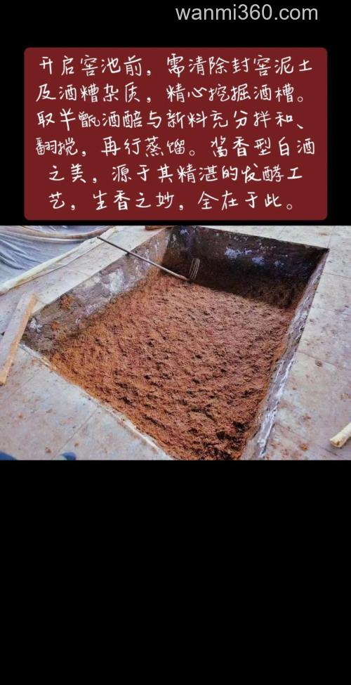 泥酒糟的用途?