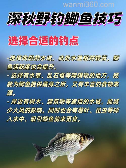 早春深秋野钓鲫鱼选位技巧