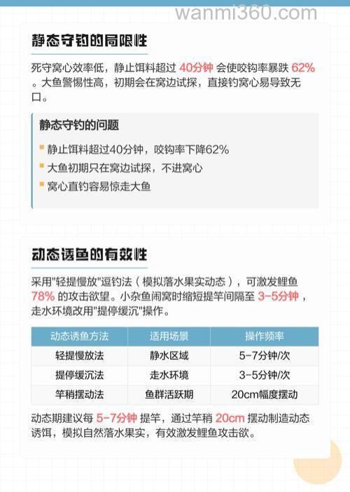用玉米守钓鲤鱼要守多久?