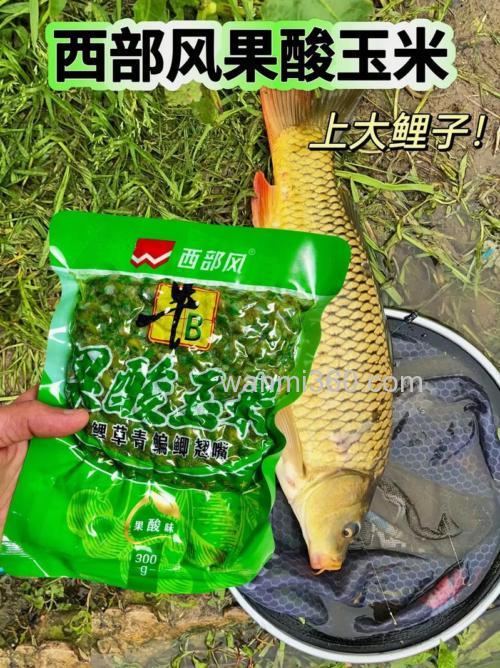 老玉米加一物清明节前后钓草鱼,专攻大草鱼