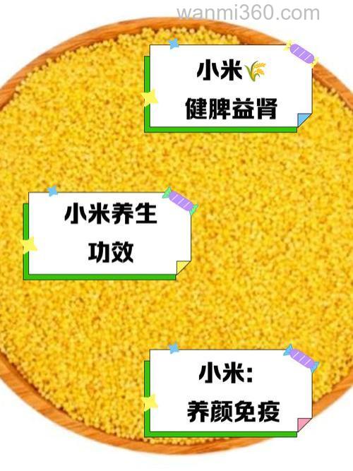 麝香小米怎么用?怎么打窝? 懂者 详细写